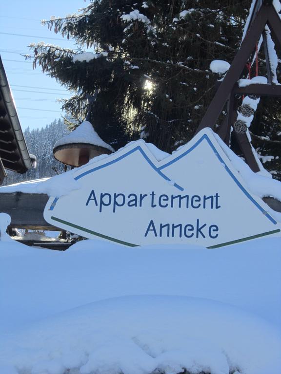 Appartement Anneke Niedernsill Esterno foto