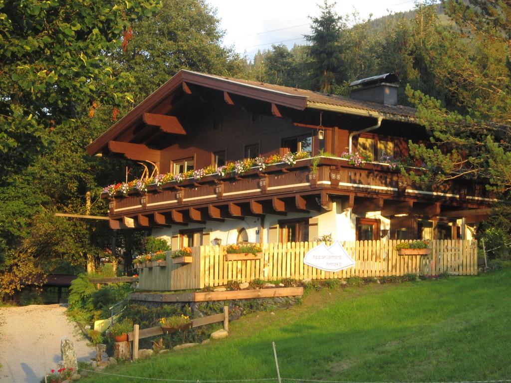 Appartement Anneke Niedernsill Esterno foto